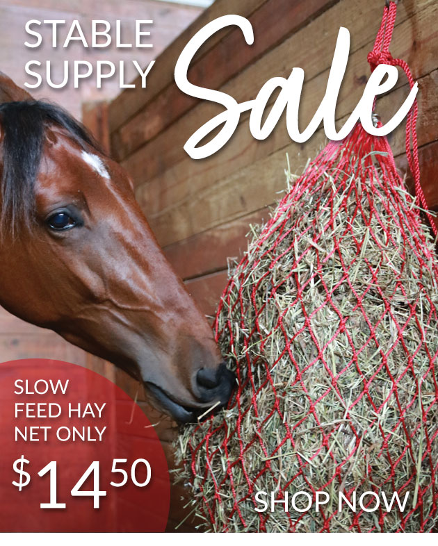 Slow feed hay net sale