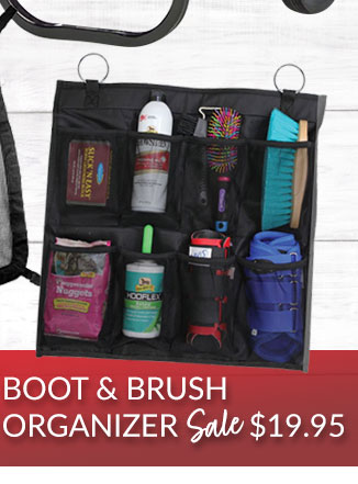 Boot organizer sale
