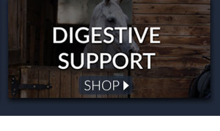 Digestive supplements